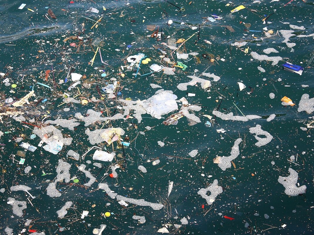 Free public domain CC0 photo.